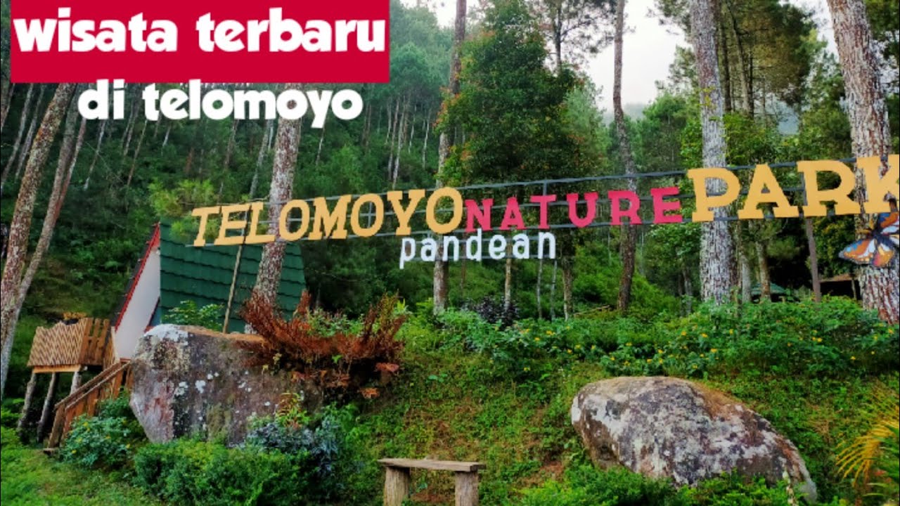 Telomoyo Nature Park: Pesona Alam dan Rekreasi di Lereng Gunung